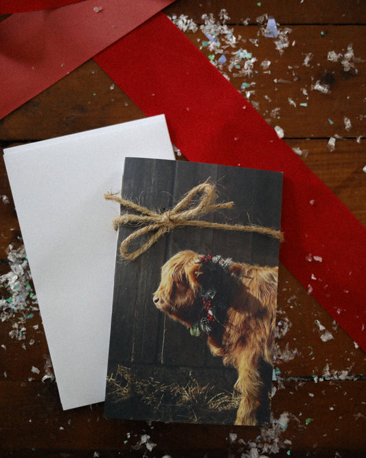 HOLIDAY GREETING CARD BUNDLES