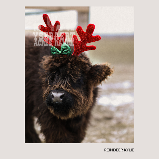 REINDEER KYLIE HOLIDAY PRINT